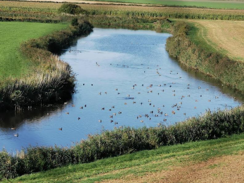 Liebevoll Eingerichtete Ferienwohnung Luettje Koje Dornum Zewnętrze zdjęcie